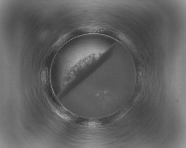 X0000080150165200612081331