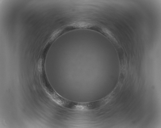 X0000080150167200612081331