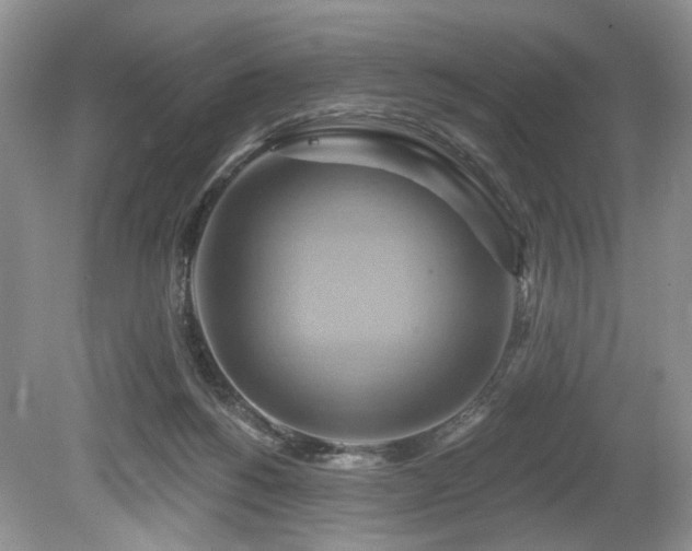 X0000080150168200612081331