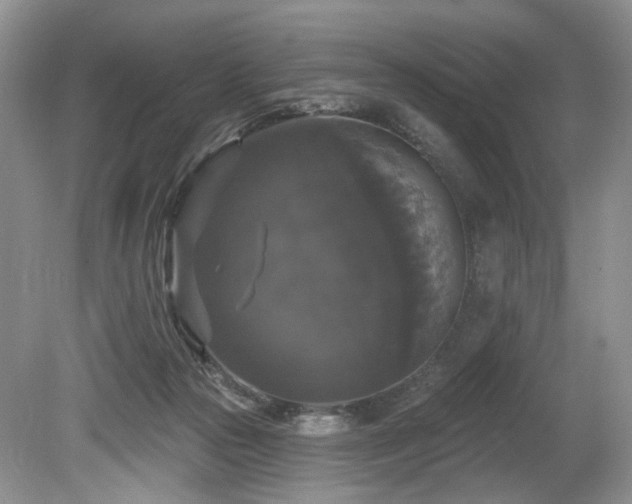 X0000080150169200612081331