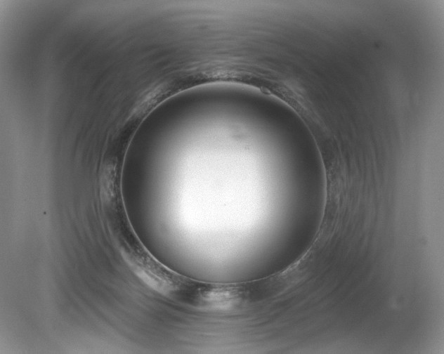 X0000080150171200612081331