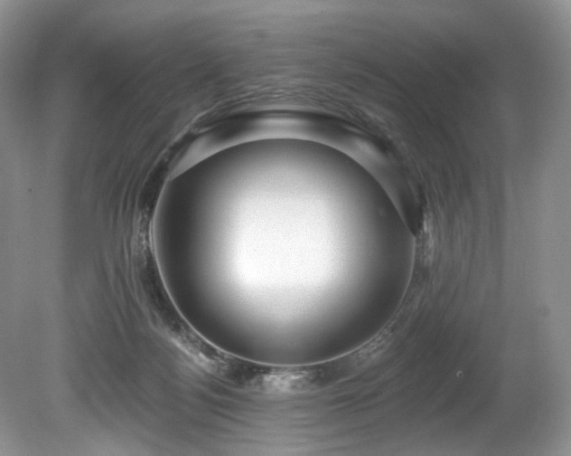 X0000080150172200612081331