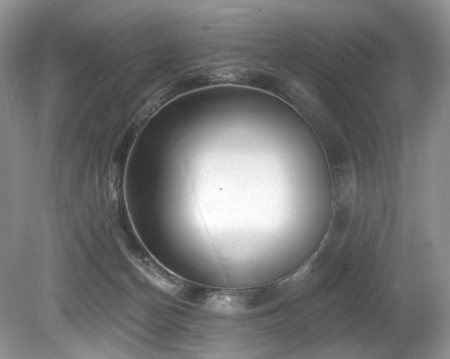 X0000080150174200612081331