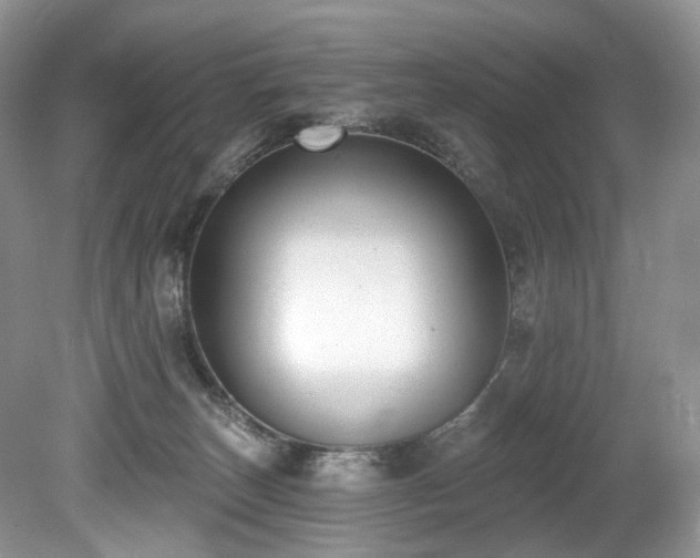 X0000080150179200612081331