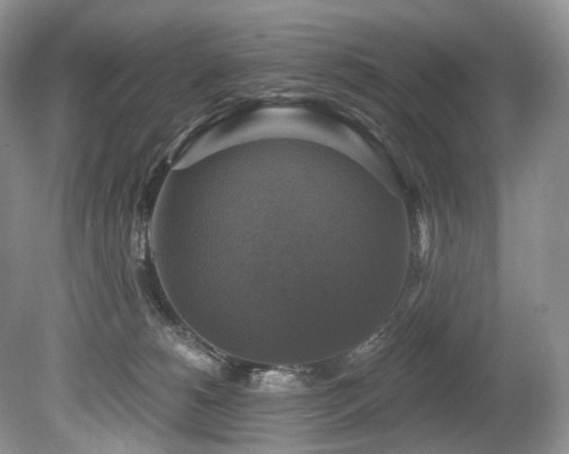 X0000080150180200612081331