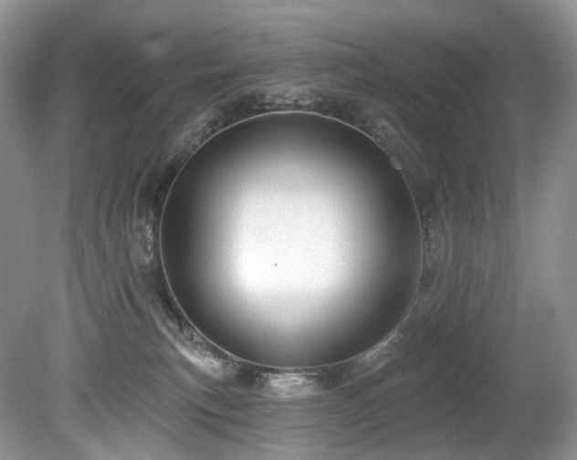 X0000080150183200612081331