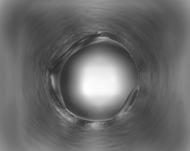 X0000080150184200612081331