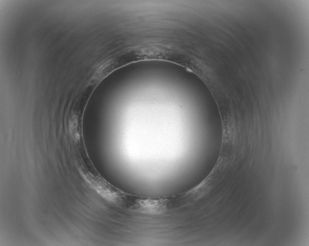 X0000080150187200612081331