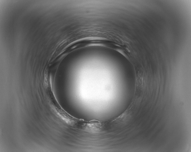 X0000080150188200612081331