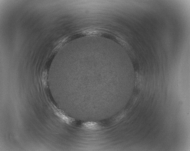 X0000080150189200612081331