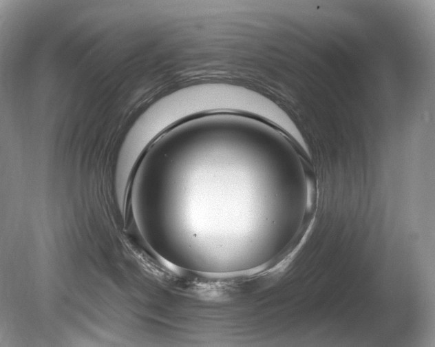 X0000080150190200612081331