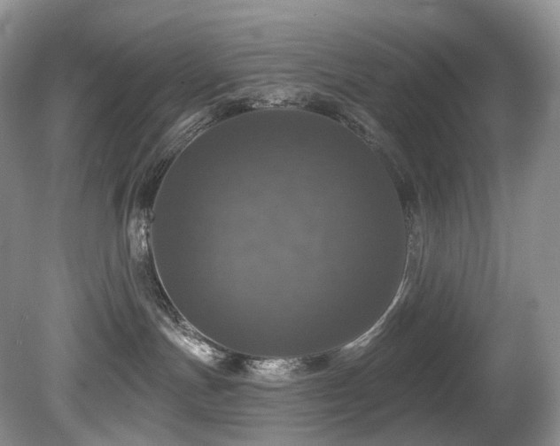 X0000080150191200612081331