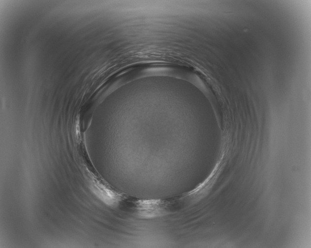 X0000080150192200612081331