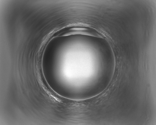 X0000080150193200612081330