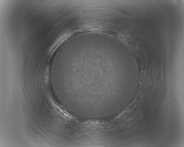 X0000080150194200612081330