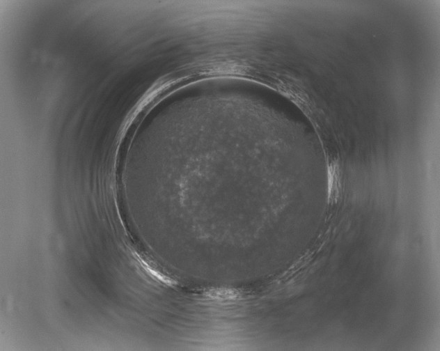 X0000080150195200612081330
