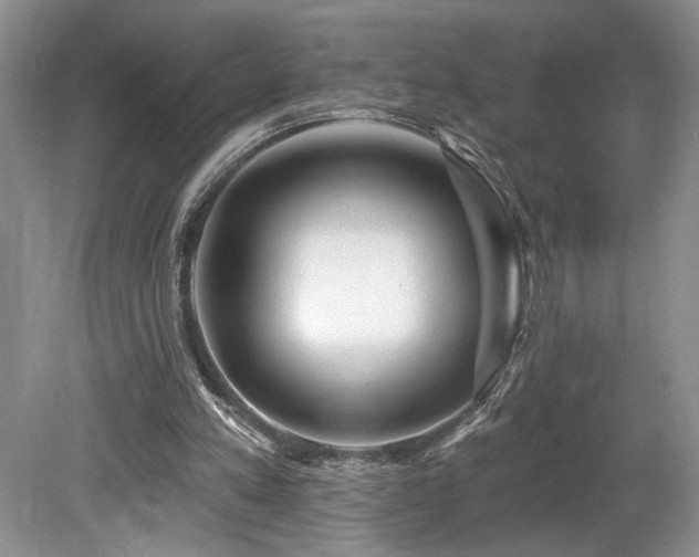 X0000080150197200612081330