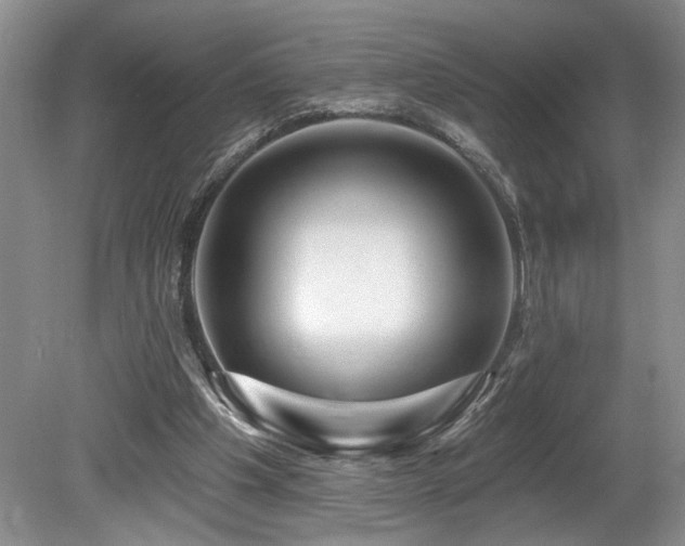 X0000080150201200612081330
