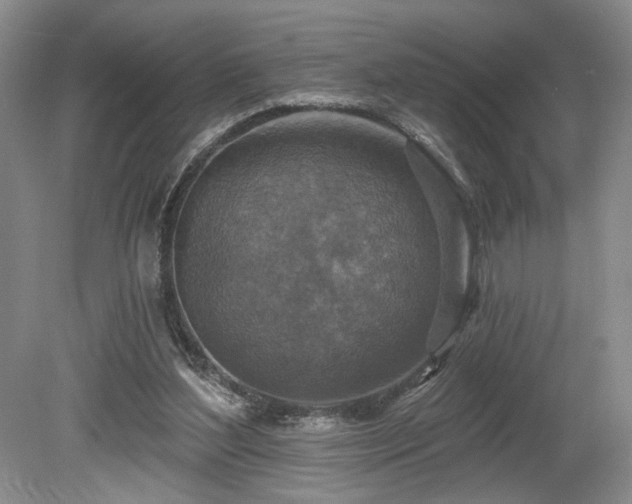 X0000080150204200612081330