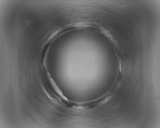 X0000080150205200612081330