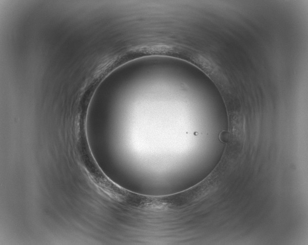 X0000080150206200612081330