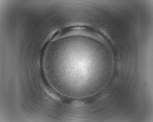 X0000080150207200612081330