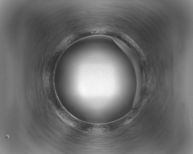 X0000080150209200612081330