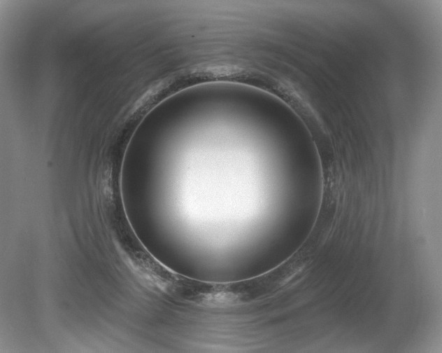 X0000080150212200612081330