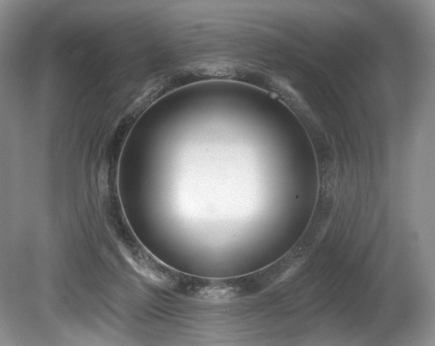 X0000080150213200612081330