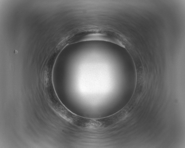 X0000080150215200612081330