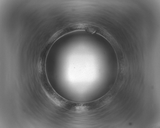 X0000080150216200612081330