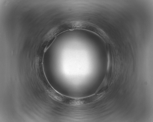 X0000080150217200612081330