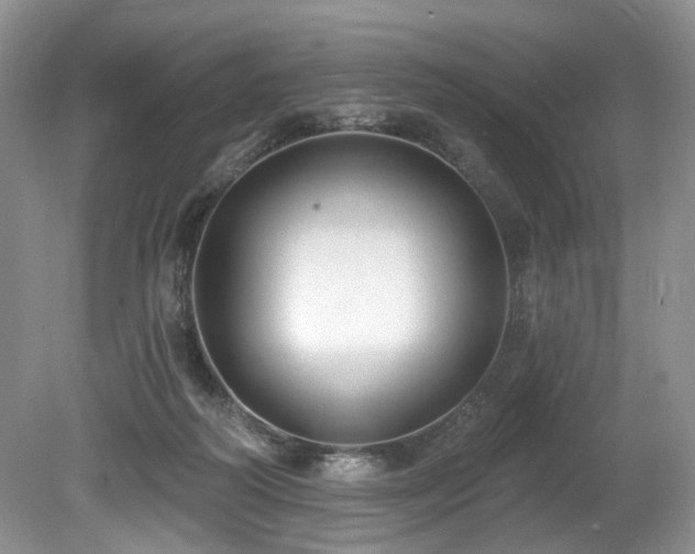 X0000080150218200612081330