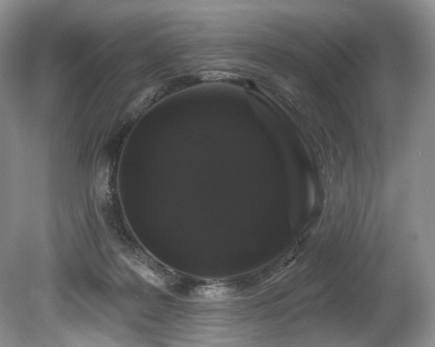 X0000080150219200612081330