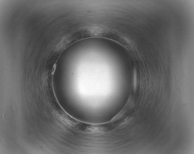 X0000080150221200612081330