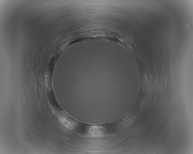 X0000080150222200612081330