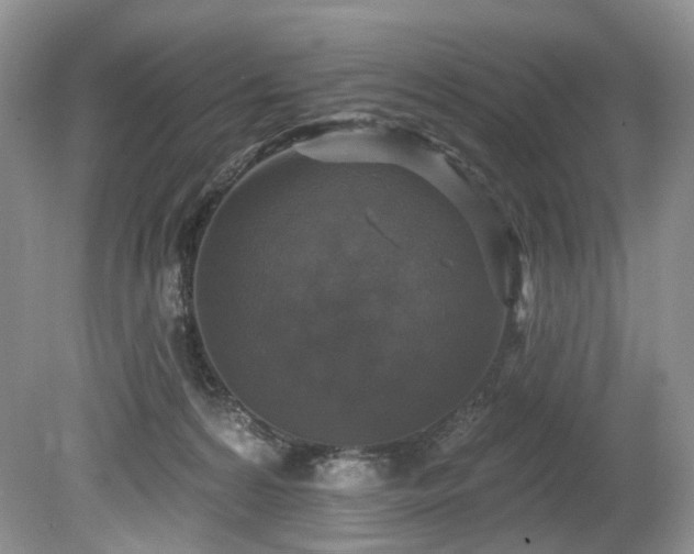 X0000080150224200612081330