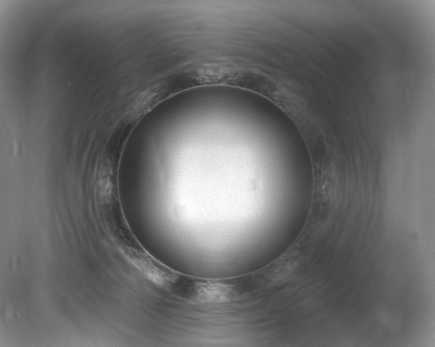 X0000080150226200612081330