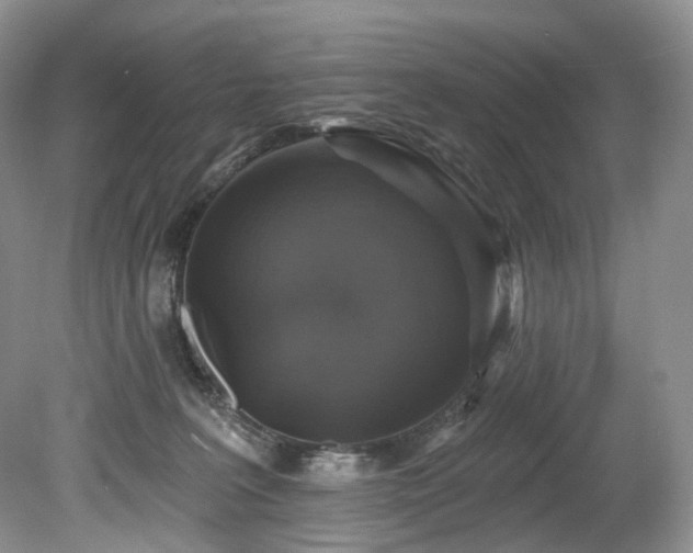 X0000080150227200612081330