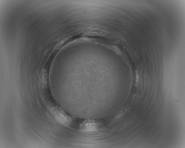 X0000080150228200612081330