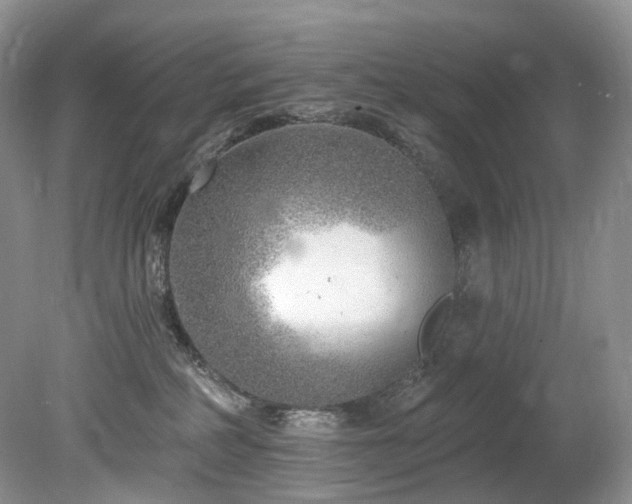 X0000080150234200612081330