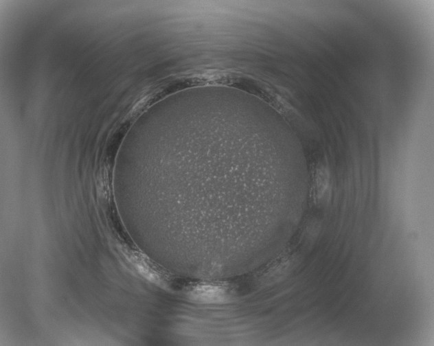 X0000080150236200612081330