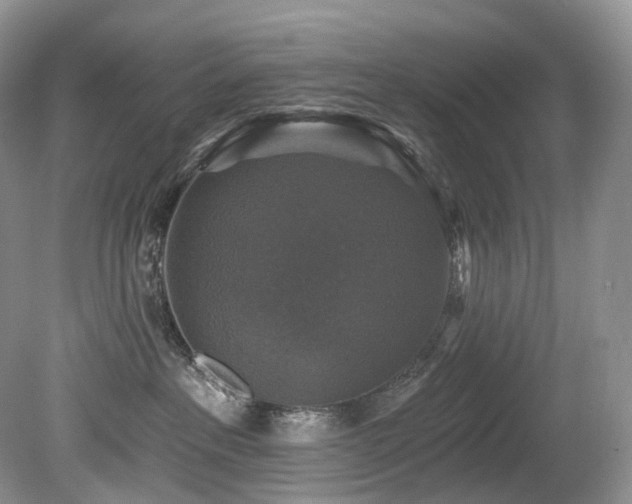 X0000080150237200612081330