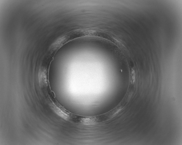 X0000080150238200612081330