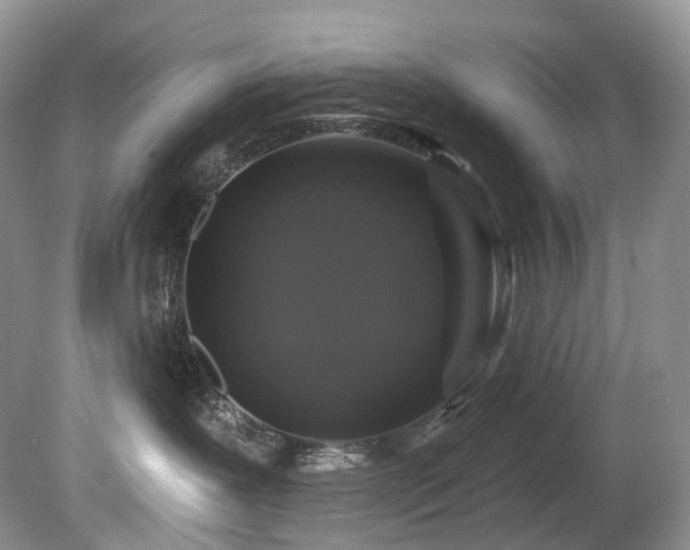 X0000080150239200612081330