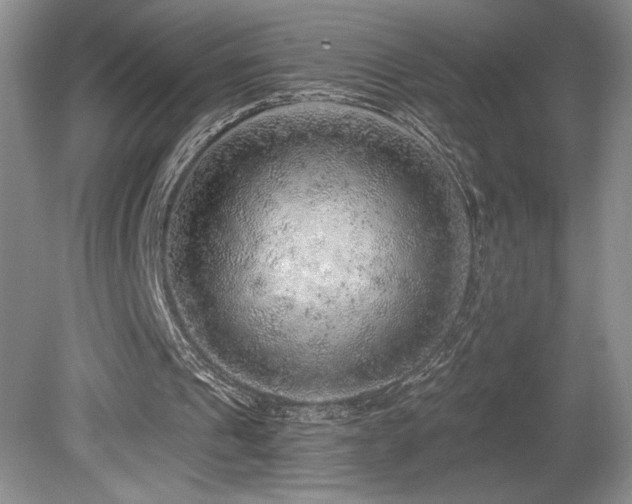 X0000080150241200612081329