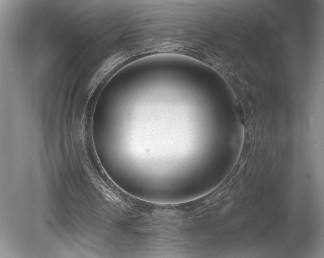 X0000080150242200612081329