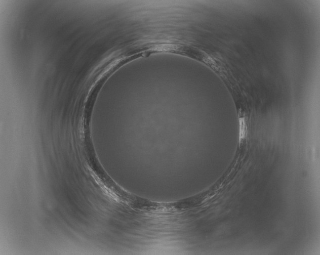 X0000080150243200612081329