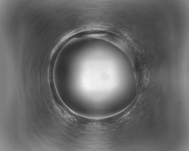 X0000080150244200612081329