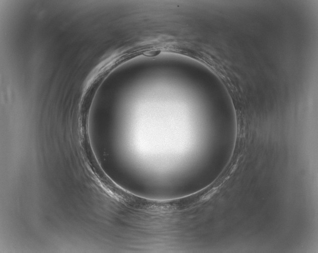 X0000080150245200612081329